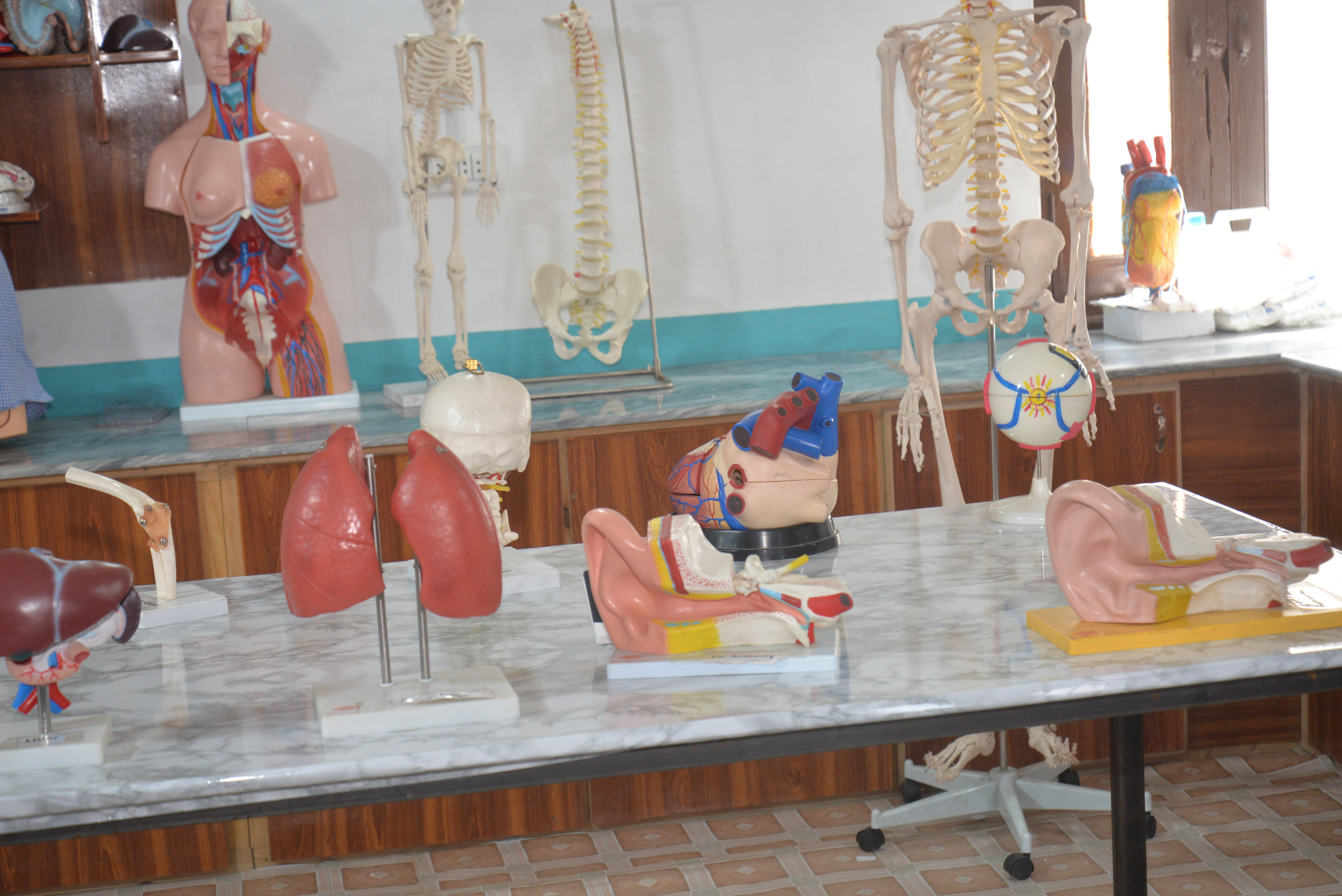 KIMS Lab 3